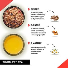 TEACURRY Thyro Herbal Tea (1 Month pack | 30 Tea Bags) - Helps with Thyroid Hormones (TSH, T3, T4), Manage Weight