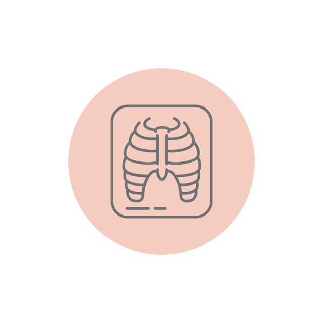 X-Ray Coccyx Spine AP and Lateral