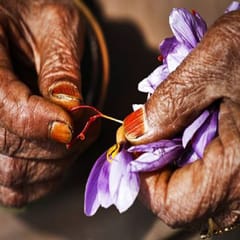 NAMHYA Kashmiri Saffron - 1 Gram