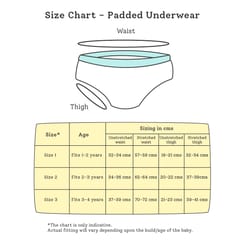 Super Bottoms Padded Underwear (Potty Training Pants) - Explorer Collection