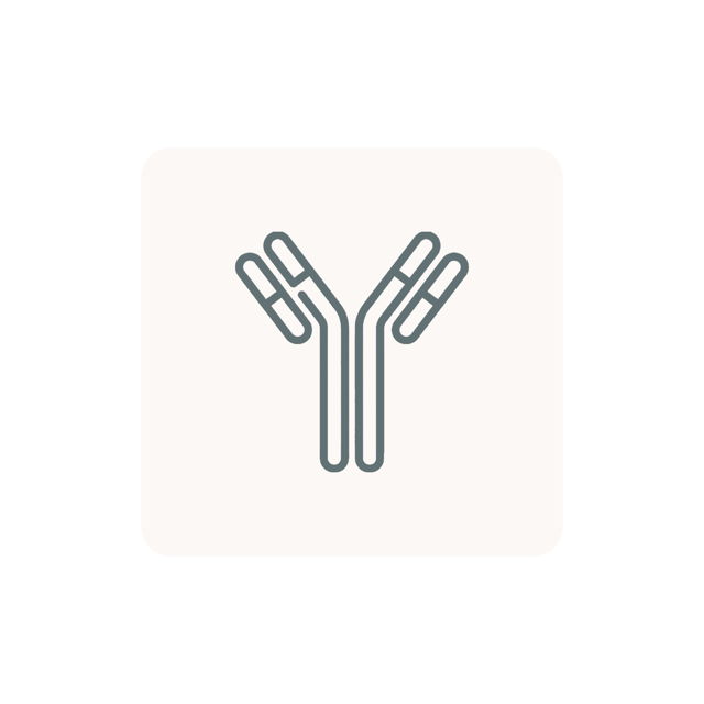 Platelet Antibodies By IFA - Qualitative