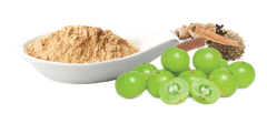 Early Foods Amla Powder - Immunity Mix for Kids - 100g