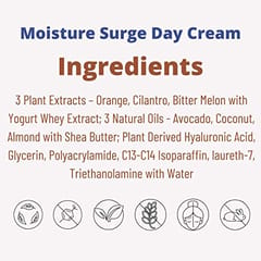 Tbox Skin Care Moisture Surge Day Cream, 50 Grams