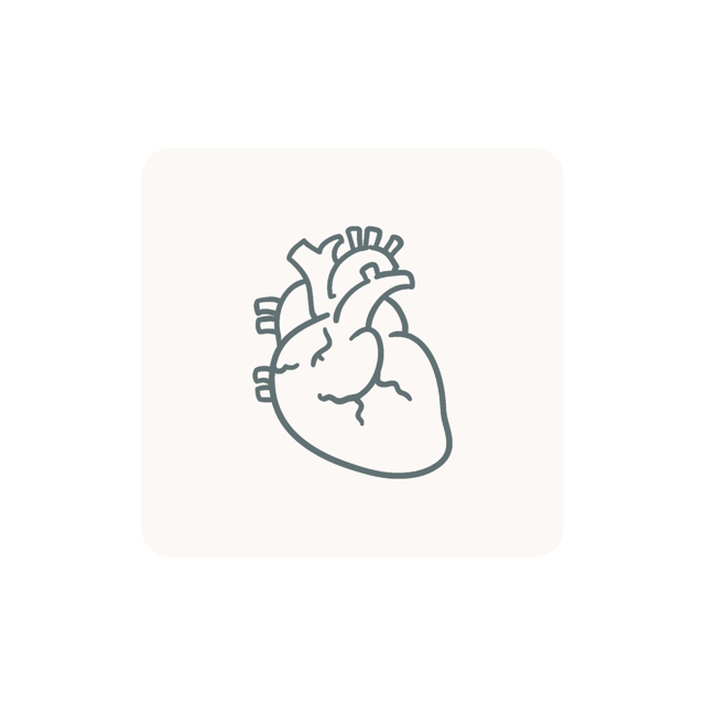 Lipid Profile Basic