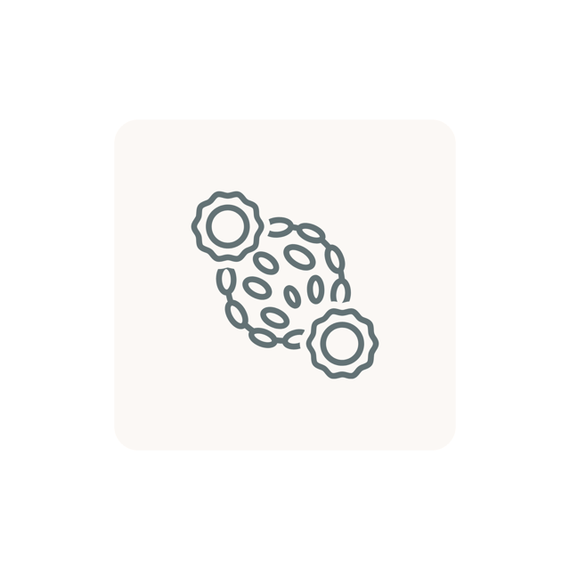 DLC(Differential Leucocyte Count) Automated