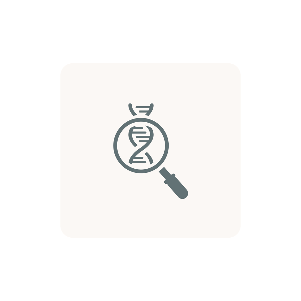 BCR-Abl Gene Rearrangement PCR Quantitative