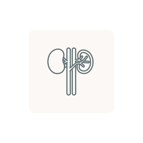 Kidney Profile (KFT)