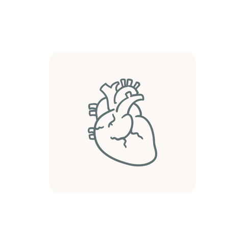 Lipid Profile