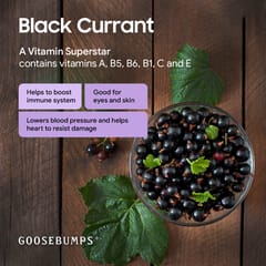 Goosebumps Masala Black Current