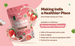 Origin Nutrition 100% Natural Vegan Plant Protein Powder - Strawberry 830 g