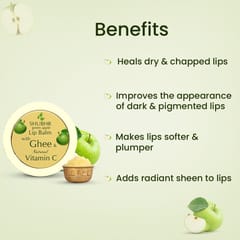 Blue Nectar Shubhr Green Apple Lip Balm With Ghee & Natural Vitamin C for Dry Chapped Lips with intense moisturization |100% Ayurvedic|Paraben & Sulphate Free| (15g)