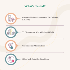 LifeCell InferGenes Male that helps to Investigate male infertility at genetic level