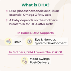 LifeCell At-Home Self-Collection OmegaScore-N for Breastfeeding Females | Tracks - Breast Milk DHA Levels| At-Home Breast Milk Sample Collection Kit | Easy-to-Use, Convenient & Safe.