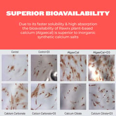 RawRX Calcium + Vitamin D3 (30N)