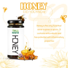 Natural Wild Forest Honey I Raw Honey I No Added Sugar I 320 g