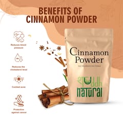 Cinnamon powder I Aromatic I 100 Gms