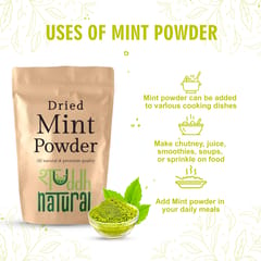 Mint powder I Aromatic Flavor I 100 gm