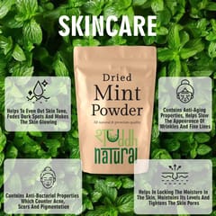 Mint powder I Aromatic Flavor I 100 gm