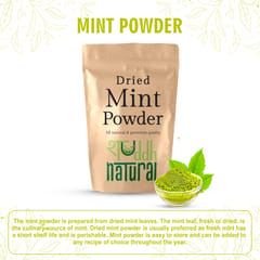 Mint powder I Aromatic Flavor I 100 gm