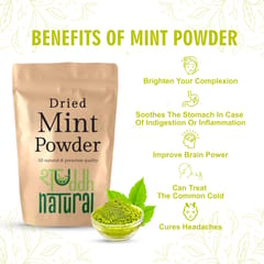 Mint powder I Aromatic Flavor I 100 gm